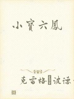 小宝六凤