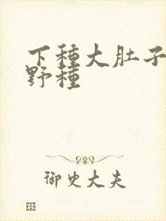 下种大肚子怀孕野种