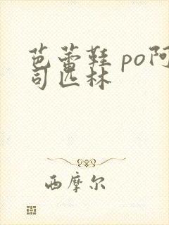 芭蕾鞋 po阿司匹林