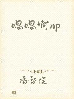 嗯嗯啊np