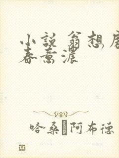 小说 翁想房中春意浓