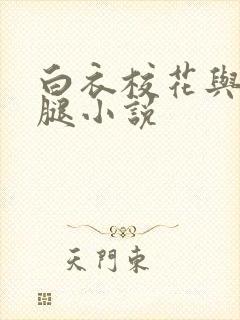 白衣校花与大长腿小说