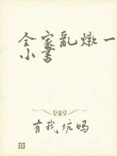 全家乱炖一锅烩小书