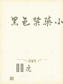黑色禁药小说