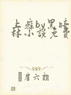 上瘾by黑暗森林小说免费