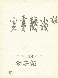 小青梅小说全文免费阅读