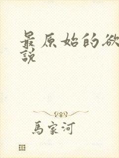 最原始的欲望小说