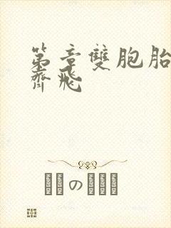 第章双胞胎姐妹齐飞