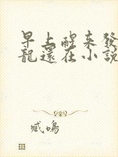 早上醒来发现巨龙还在小说