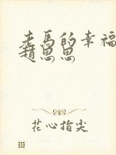 老马的幸福生活赵思思