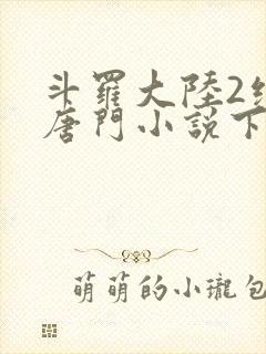 斗罗大陆2绝世唐门小说下载