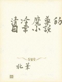 清冷魔尊的抹布日常小说