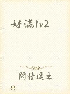 好满1v2