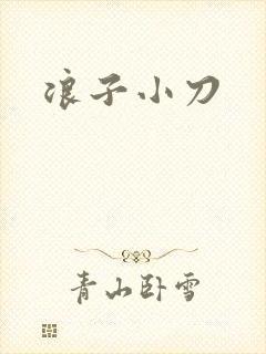 浪子小刀
