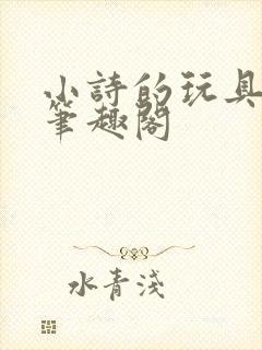 小诗的玩具日记笔趣阁