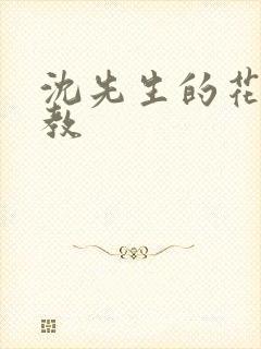 沈先生的花式管教