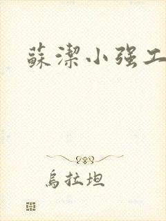 苏洁小强工地情