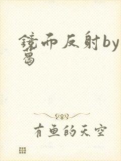 镜面反射by九葛