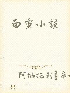 白灵小说