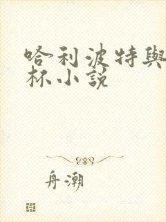 哈利波特与火焰杯小说