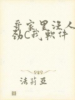 哥家里没人使点劲C我软件