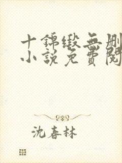 十锦缎无删原著小说免费阅读