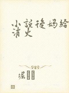 小说后妈给我消消火