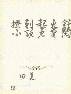 撩到起火舒漾的小说免费阅读全文