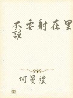 不要射在里面小说