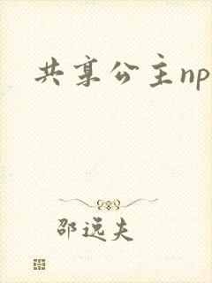 共享公主npc