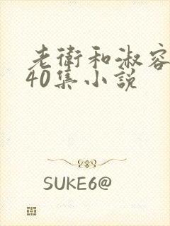 老卫和淑容1-40集小说