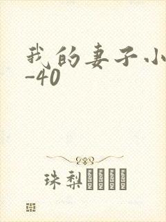 我的妻子小谨1-40