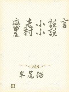 恋老小说言情网农村小说