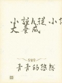 小说h从小做到大养成