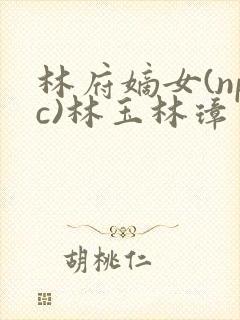 林府嫡女(npc)林玉林璋