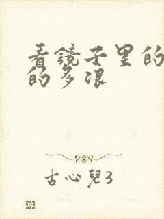 看镜子里的你叫的多浪