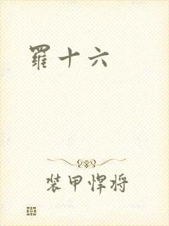 罗十六