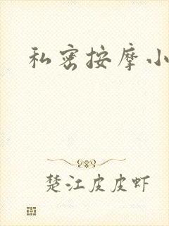 私密按摩小说