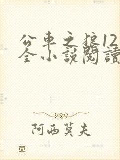 公车之狼12集全小说阅读