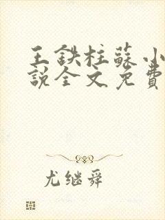 王铁柱苏小汐小说全文免费阅读最新章节