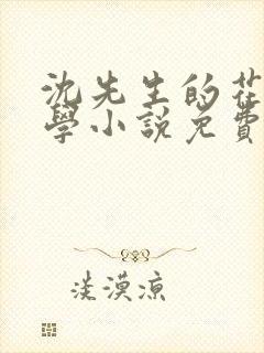 沈先生的花式教学小说免费