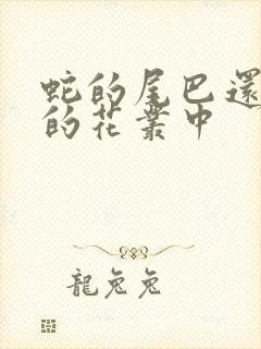 蛇的尾巴还在我的花丛中