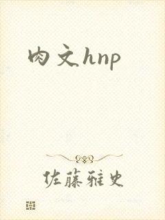 肉文hnp