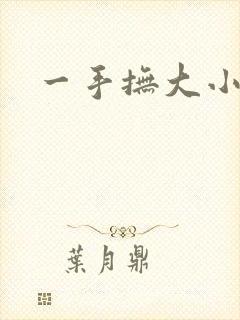 一手抚大小说