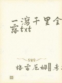 一泻千里金银花露txt