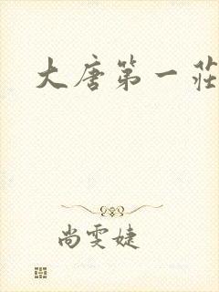 大唐第一庄