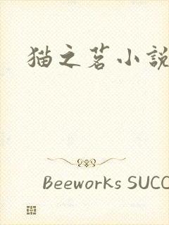 猫之茗小说