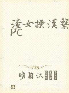 渣女撩汉系统NPC