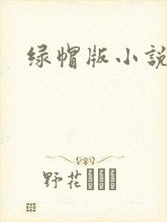 绿帽版小说