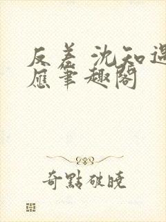 反差 沈知遇晏应笔趣阁